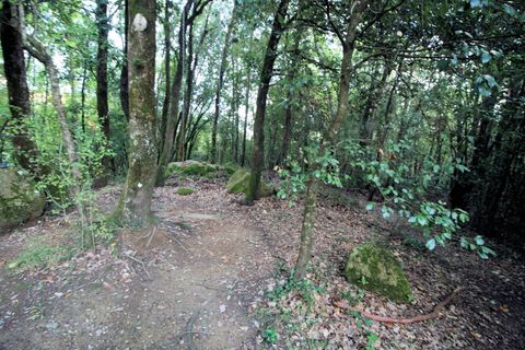 Landejendom i Roccastrada, Grosseto, Roccastrada - € 295.000 | Ref: 1562 - foto 17