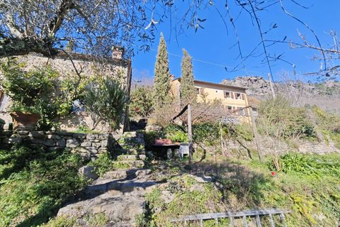 Landejendom i Buti, Pisa, Buti - € 695.000 | Ref: 1565 - foto 2