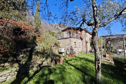 Landejendom i Buti, Pisa, Buti - € 695.000 | Ref: 1565 - foto 3