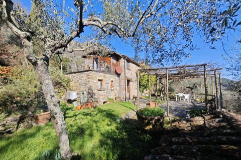 Landejendom i Buti, Pisa, Buti - € 695.000 | Ref: 1565 - foto 4