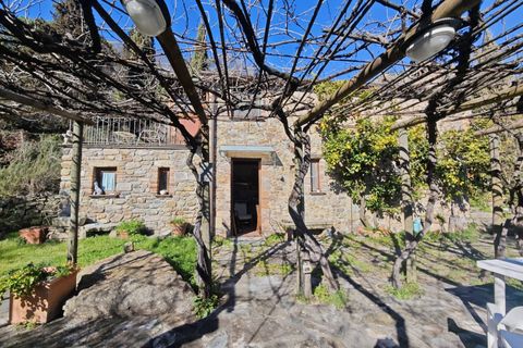 Landejendom i Buti, Pisa, Buti - € 695.000 | Ref: 1565 - foto 5