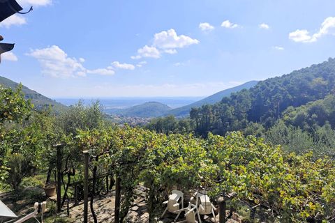 Landejendom i Buti, Pisa, Buti - € 695.000 | Ref: 1565 - foto 7