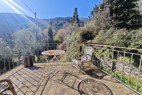 Landejendom i Buti, Pisa, Buti - € 695.000 | Ref: 1565 - foto 8