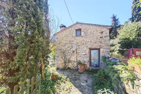 Landejendom i Buti, Pisa, Buti - € 695.000 | Ref: 1565 - foto 9