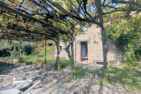 Landejendom i Buti, Pisa, Buti - € 695.000 | Ref: 1565 - foto 10