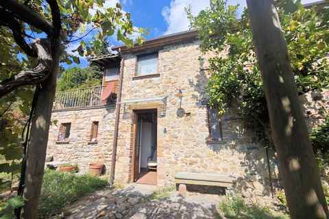 Landejendom i Buti, Pisa, Buti - € 695.000 | Ref: 1565 - foto 11