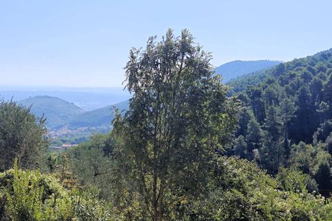 Landejendom i Buti, Pisa, Buti - € 695.000 | Ref: 1565 - foto 13