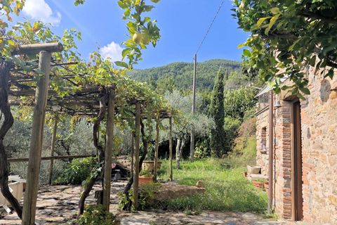 Landejendom i Buti, Pisa, Buti - € 695.000 | Ref: 1565 - foto 15