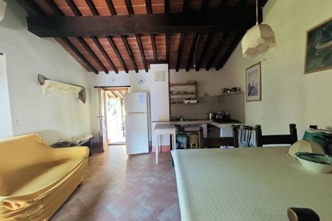 Landejendom i Buti, Pisa, Buti - € 695.000 | Ref: 1565 - foto 24