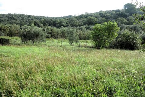 Villa a Scarlino, Grosseto, Scarlino - € 420.000 | Ref: 1568 - foto 3