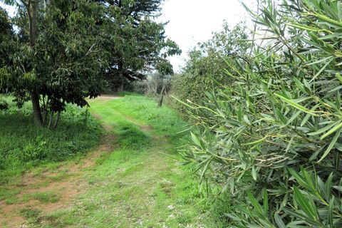 Villa a Scarlino, Grosseto, Scarlino - € 420.000 | Ref: 1568 - foto 6