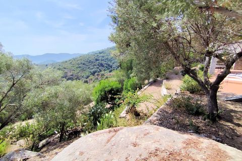 Villa i Campo Nell'Elba, Livorno, Campo Nell'Elba - € 850.000 | Ref: 1569 - foto 12