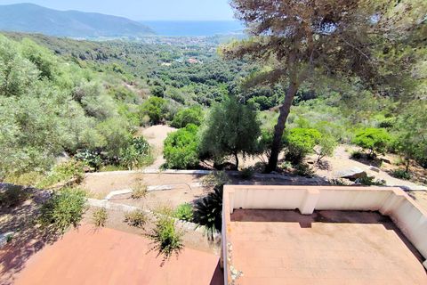 Villa i Campo Nell'Elba, Livorno, Campo Nell'Elba - € 850.000 | Ref: 1569 - foto 15