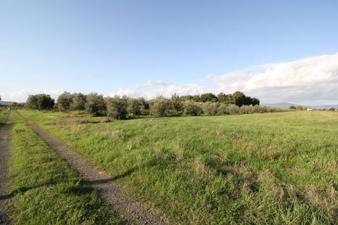 Landejendom i Roccastrada, Grosseto, Roccastrada - € 310.000 | Ref: 1572 - foto 3