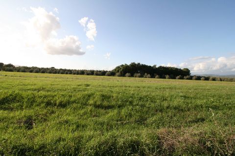 Landejendom i Roccastrada, Grosseto, Roccastrada - € 310.000 | Ref: 1572 - foto 5