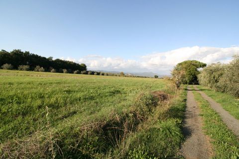 Landejendom i Roccastrada, Grosseto, Roccastrada - € 310.000 | Ref: 1572 - foto 6