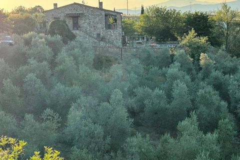 Landejendom i Roccastrada, Grosseto, Roccastrada - € 1.100.000 | Ref: 1585 - foto 3