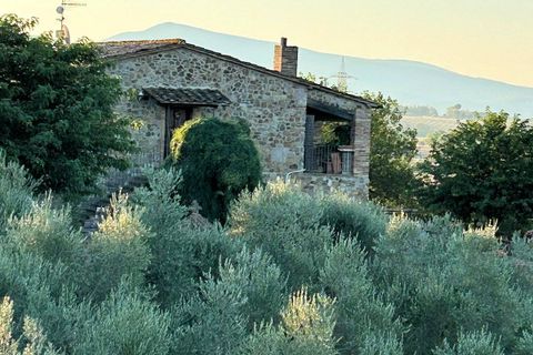 Landejendom i Roccastrada, Grosseto, Roccastrada - € 1.100.000 | Ref: 1585 - foto 11
