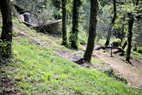 Landejendom i Lamporecchio, Pistoia, Lamporecchio - € 350.000 | Ref: 1602 - foto 7