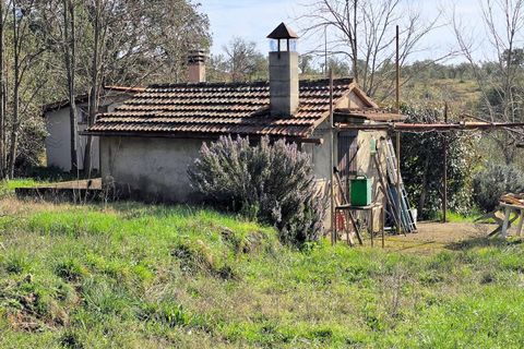 Landejendom i Roccastrada, Grosseto, Roccastrada - € 45.000 | Ref: 1604 - foto 3