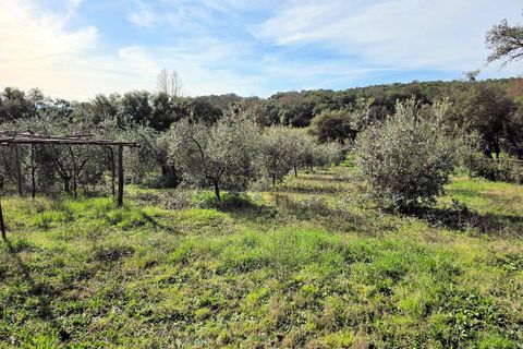 Landejendom i Roccastrada, Grosseto, Roccastrada - € 45.000 | Ref: 1604 - foto 6