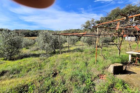 Landejendom i Roccastrada, Grosseto, Roccastrada - € 45.000 | Ref: 1604 - foto 8