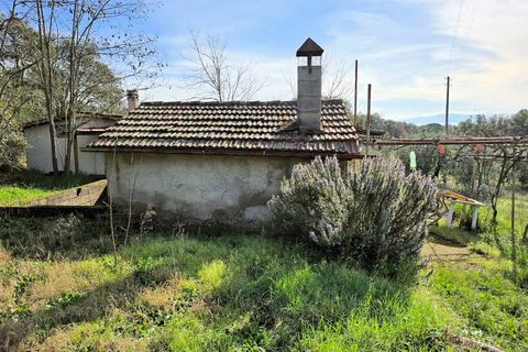 Landejendom i Roccastrada, Grosseto, Roccastrada - € 45.000 | Ref: 1604 - foto 9