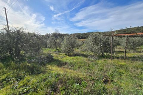 Landejendom i Roccastrada, Grosseto, Roccastrada - € 45.000 | Ref: 1604 - foto 10
