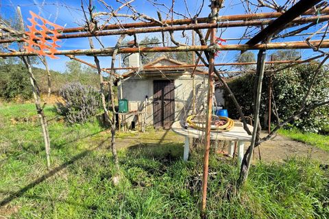 Landejendom i Roccastrada, Grosseto, Roccastrada - € 45.000 | Ref: 1604 - foto 11