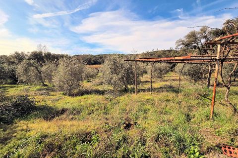 Landejendom i Roccastrada, Grosseto, Roccastrada - € 45.000 | Ref: 1604 - foto 12
