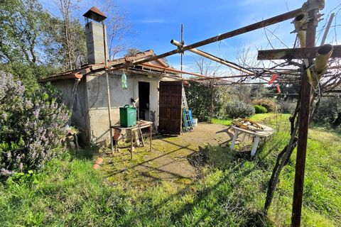 Landejendom i Roccastrada, Grosseto, Roccastrada - € 45.000 | Ref: 1604 - foto 13