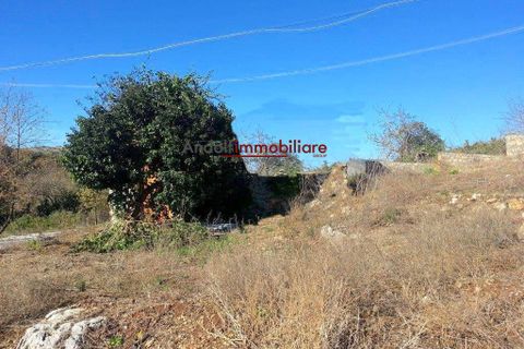 Villa i Gaeta, Latina, Gaeta - € 85.000 | Ref: G229 - foto 7