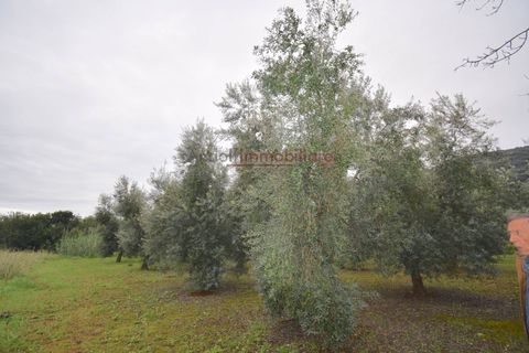 Tomt i Gaeta, Latina, Gaeta - € 50 000 | Ref: G270 - foto 7
