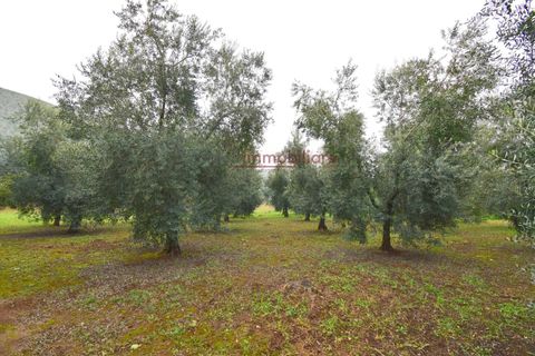 Tomt i Gaeta, Latina, Gaeta - € 50 000 | Ref: G270 - foto 8