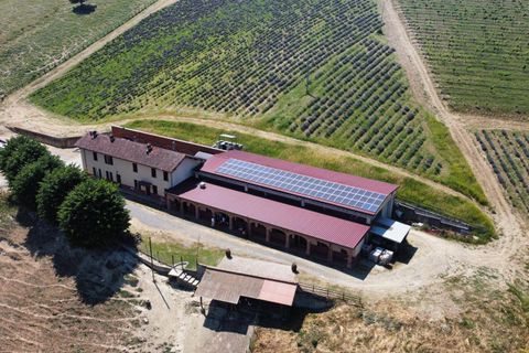 Farm i Carpeneto, Alessandria, Carpeneto - € 700.000 | Ref: 14773 - foto 1