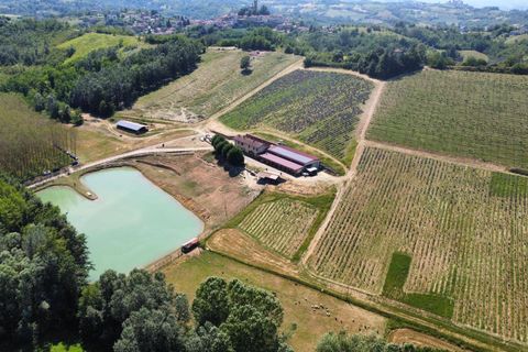 Farm i Carpeneto, Alessandria, Carpeneto - € 700.000 | Ref: 14773 - foto 2