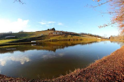 Farm i Carpeneto, Alessandria, Carpeneto - € 700.000 | Ref: 14773 - foto 3