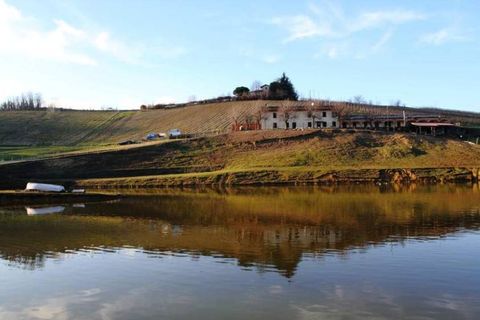 Farm i Carpeneto, Alessandria, Carpeneto - € 700.000 | Ref: 14773 - foto 4