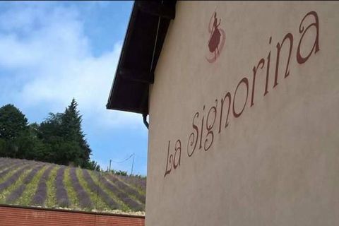 Farm i Carpeneto, Alessandria, Carpeneto - € 700.000 | Ref: 14773 - foto 9