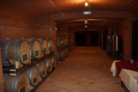 Farm i Carpeneto, Alessandria, Carpeneto - € 700.000 | Ref: 14773 - foto 16