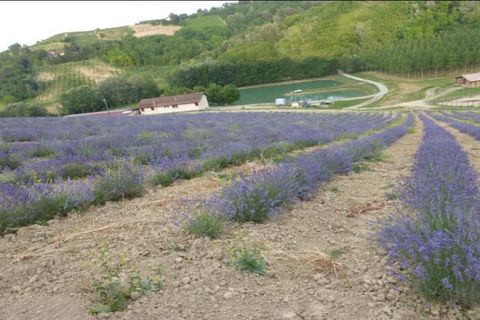 Farm i Carpeneto, Alessandria, Carpeneto - € 700.000 | Ref: 14773 - foto 22
