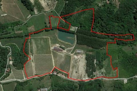 Farm i Carpeneto, Alessandria, Carpeneto - € 700.000 | Ref: 14773 - foto 26