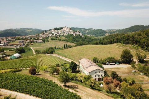 Farm i Murisengo, Alessandria, Murisengo - € 1.150.000 | Ref: 14784 - foto 2