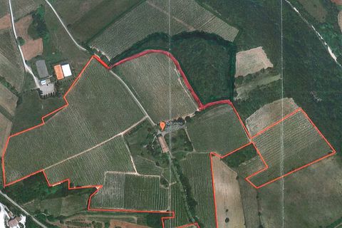 Farm i Murisengo, Alessandria, Murisengo - € 1.150.000 | Ref: 14784 - foto 7