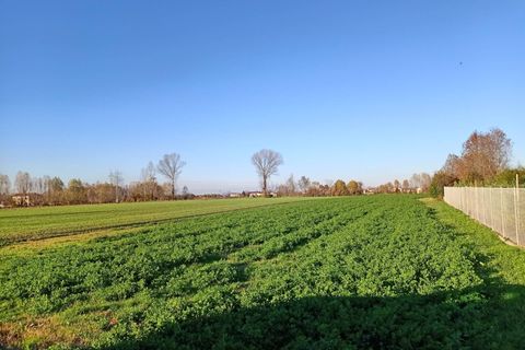 Helårsgrund i Mirano, Venice, Mirano - € 95.000 | Ref: CP058 - foto 3