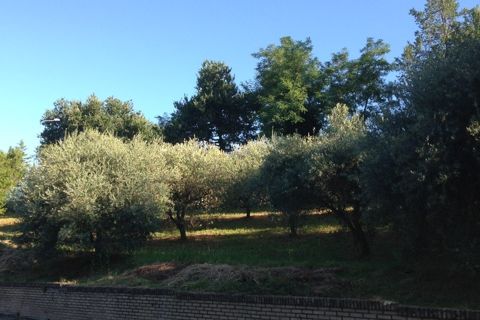 Helårsgrund i Montegiorgio, Fermo, Montegiorgio - € 38.000 | Ref: MG1699 - foto 1