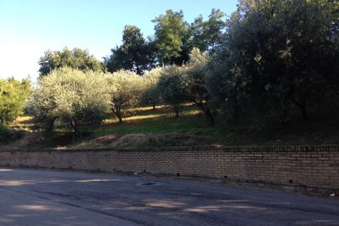 Helårsgrund i Montegiorgio, Fermo, Montegiorgio - € 38.000 | Ref: MG1699 - foto 3