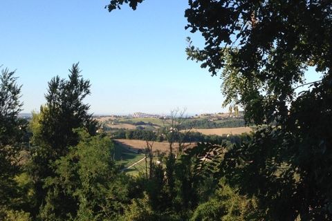 Helårsgrund i Montegiorgio, Fermo, Montegiorgio - € 38.000 | Ref: MG1699 - foto 5