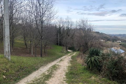 Villa a Montottone, Fermo, Montottone - € 140.000 | Ref: MG2086 - foto 5