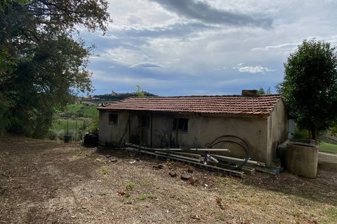 Villa a Montegiorgio, Fermo, Montegiorgio - € 295.000 | Ref: MG2111 - foto 33